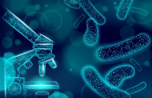 Quando l’intestino rallenta va rinnovato Quando l’intestino rallenta va rinnovato