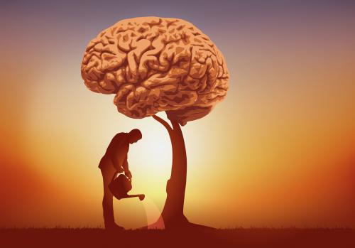 Se i prebiotici migliorano il cervello Se i prebiotici migliorano il cervello