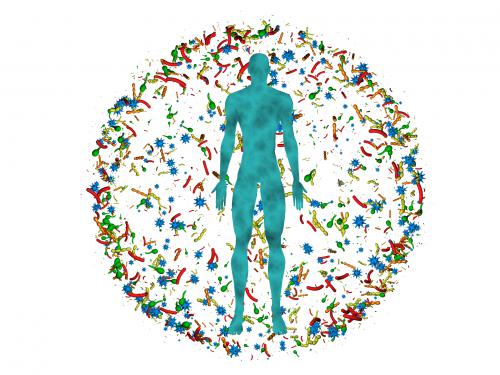 Microbiota: i nostri preziosi coinquilini