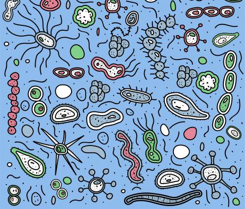 Probiotici: cosa sono e perché sono utili Probiotici: cosa sono e perché sono utili