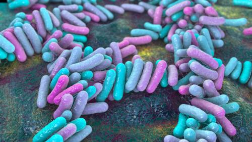 Microbiota e motilità
