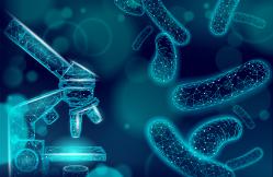 Quando l’intestino rallenta va rinnovato