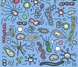 Probiotici: cosa sono e perché sono utili