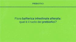 Prebiotici