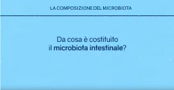 La composizione del microbiota