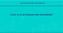 Le funzioni del microbiota